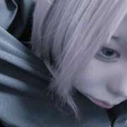 ヒメ日記 2025/10/03 13:29 投稿 のあ でりどす