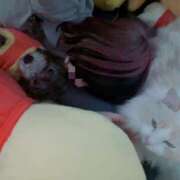 ヒメ日記 2025/10/06 20:02 投稿 のあ でりどす