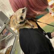 ヒメ日記 2025/10/25 20:09 投稿 のあ でりどす