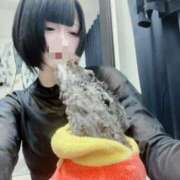 ヒメ日記 2025/10/26 13:31 投稿 のあ でりどす