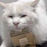 ヒメ日記 2025/10/31 20:52 投稿 のあ でりどす