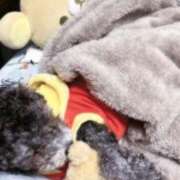 ヒメ日記 2025/11/07 20:15 投稿 のあ でりどす