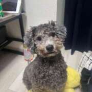 ヒメ日記 2025/11/08 22:02 投稿 のあ でりどす