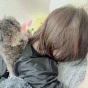 ヒメ日記 2025/11/14 19:23 投稿 のあ でりどす