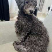 ヒメ日記 2025/11/30 21:15 投稿 のあ でりどす