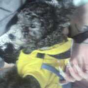 のあ 🦋 でりどす