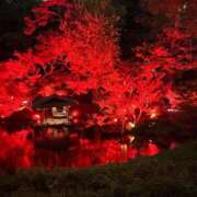 のあ 🦋 でりどす