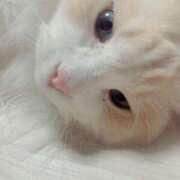 ヒメ日記 2025/12/19 15:48 投稿 のあ でりどす