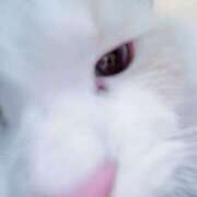 ヒメ日記 2026/01/07 21:15 投稿 のあ でりどす