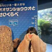 ヒメ日記 2026/01/11 22:18 投稿 のあ でりどす