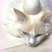 ヒメ日記 2026/01/14 13:00 投稿 のあ でりどす