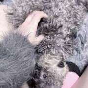 ヒメ日記 2026/01/15 21:46 投稿 のあ でりどす