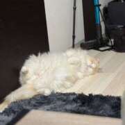 ヒメ日記 2026/01/17 15:51 投稿 のあ でりどす