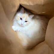 ヒメ日記 2026/01/20 21:59 投稿 のあ でりどす