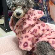 ヒメ日記 2026/01/28 18:48 投稿 のあ でりどす