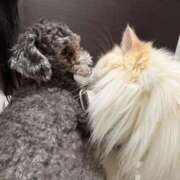 ヒメ日記 2026/02/14 16:06 投稿 のあ でりどす