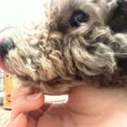 のあ 🦋 でりどす