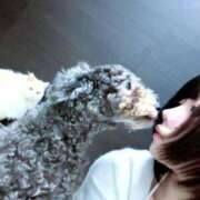 ヒメ日記 2026/02/24 22:59 投稿 のあ でりどす