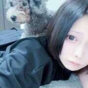 ヒメ日記 2026/02/26 20:31 投稿 のあ でりどす