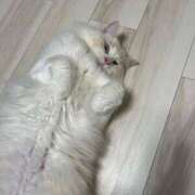 のあ 🦋 でりどす