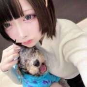 ヒメ日記 2026/04/18 17:02 投稿 のあ でりどす