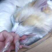 ヒメ日記 2026/04/28 19:32 投稿 のあ でりどす