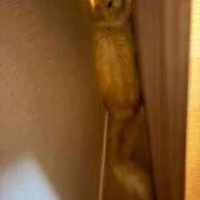 ヒメ日記 2026/07/04 15:44 投稿 のあ でりどす