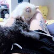 ヒメ日記 2026/07/25 16:18 投稿 のあ でりどす