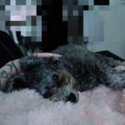 ヒメ日記 2026/08/23 10:41 投稿 のあ でりどす