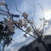 ヒメ日記 2025/03/18 19:21 投稿 みお 西船人妻花壇