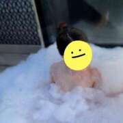 ヒメ日記 2025/08/23 08:34 投稿 みお 西船人妻花壇