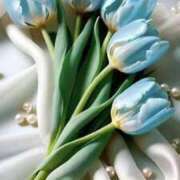 ヒメ日記 2025/02/16 17:26 投稿 ここみ 熟女の風俗最終章 蒲田店