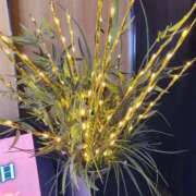 ヒメ日記 2025/02/19 14:36 投稿 ここみ 熟女の風俗最終章 蒲田店