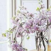 ヒメ日記 2025/03/11 09:56 投稿 ここみ 熟女の風俗最終章 蒲田店