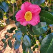 ヒメ日記 2025/03/25 17:01 投稿 ここみ 熟女の風俗最終章 蒲田店