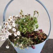 ヒメ日記 2025/05/06 15:10 投稿 ここみ 熟女の風俗最終章 蒲田店