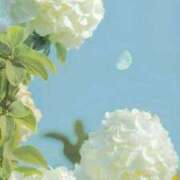 ヒメ日記 2025/05/17 17:40 投稿 ここみ 熟女の風俗最終章 蒲田店