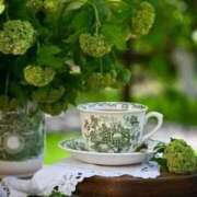 ヒメ日記 2025/06/02 17:01 投稿 ここみ 熟女の風俗最終章 蒲田店