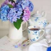 ヒメ日記 2025/07/24 17:06 投稿 ここみ 熟女の風俗最終章 蒲田店