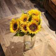 ヒメ日記 2025/07/25 20:50 投稿 ここみ 熟女の風俗最終章 蒲田店