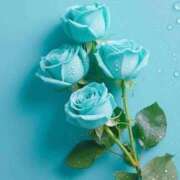 ヒメ日記 2025/08/27 13:20 投稿 ここみ 熟女の風俗最終章 蒲田店