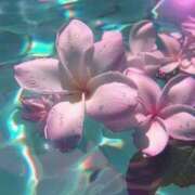 ヒメ日記 2025/08/29 17:34 投稿 ここみ 熟女の風俗最終章 蒲田店