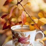 ヒメ日記 2025/11/19 19:01 投稿 ここみ 熟女の風俗最終章 蒲田店