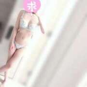 ヒメ日記 2025/11/24 06:13 投稿 あのね ジャパンクラブ富士