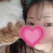 ヒメ日記 2025/06/15 12:50 投稿 まなか 熟女の風俗最終章 相模原店