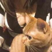 ヒメ日記 2026/03/02 18:12 投稿 まなか 熟女の風俗最終章 相模原店