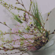 ヒメ日記 2025/03/27 16:08 投稿 みく ハピネス東京