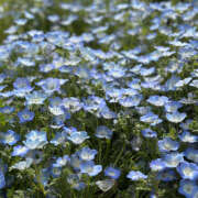 ヒメ日記 2025/04/24 12:14 投稿 みく ハピネス東京