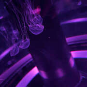 ヒメ日記 2025/04/28 17:29 投稿 みく ハピネス東京