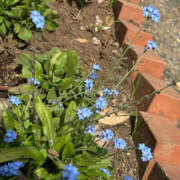 ヒメ日記 2025/04/29 15:13 投稿 みく ハピネス東京